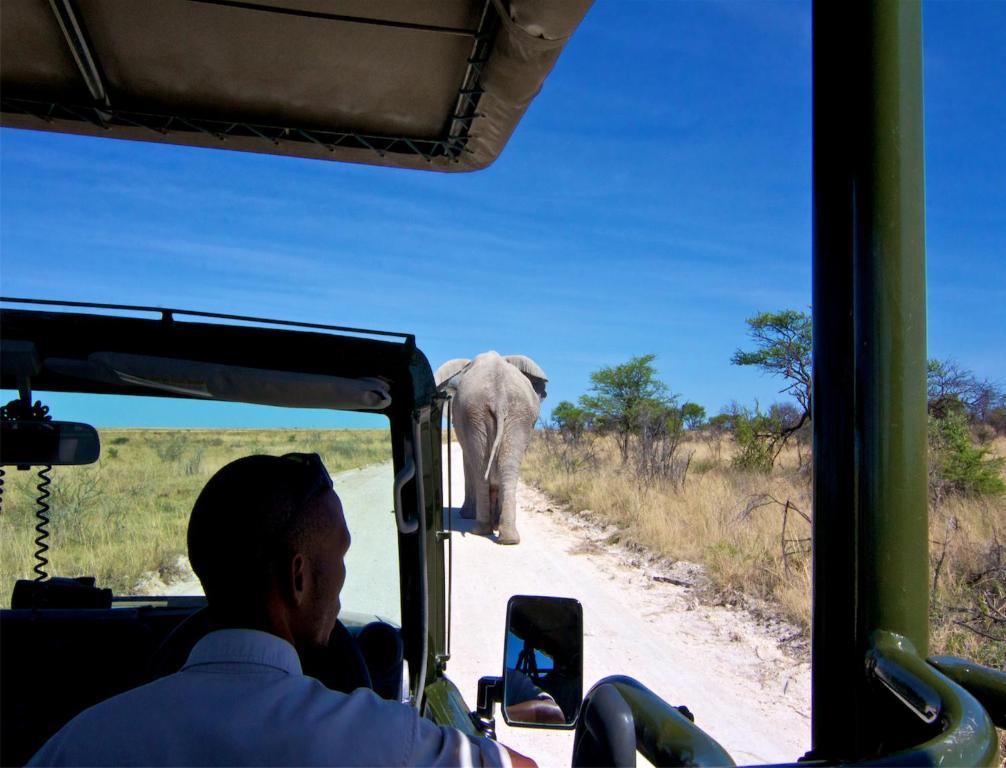 Mokuti Etosha Villa นามูโทนิ ภายนอก รูปภาพ
