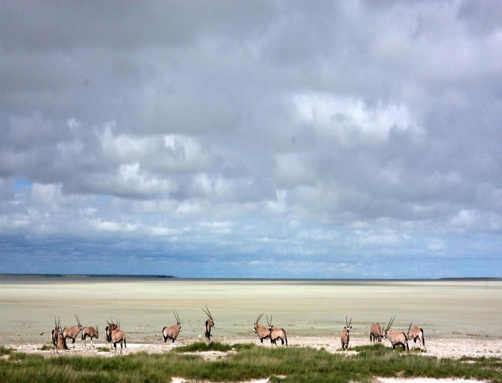 Mokuti Etosha Villa นามูโทนิ ภายนอก รูปภาพ