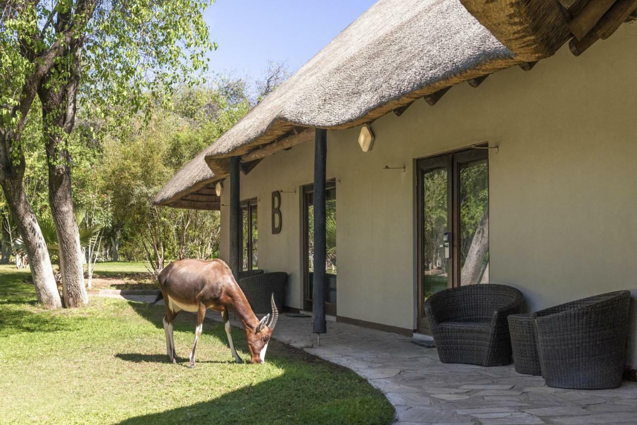Mokuti Etosha Villa นามูโทนิ ภายนอก รูปภาพ